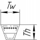 AVX13-1625 [Continental] Keilriemen