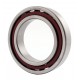 7010C | 6-236110K [GPZ] Single row angular contact ball bearing