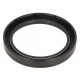 Oil seal 55x72x10 ACM BARD - 40000400 New Holland, 215190570 Same - 12010694B Corteco