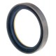 Oil seal 85x110x16 NBR COMBI - 5131916 New Holland, 3019954X1 Massey Ferguson - 12001909 Corteco