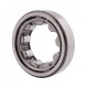 RNU305 [GPZ-23] Cylindrical roller bearing