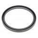 Oil seal 100x120x10 SC (NBR) 9838315 New Holland 19031741B Corteco