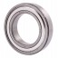 6009.ZZC3 [SNR] Deep groove sealed ball bearing