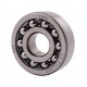 1302 [CX] Double row self-aligning ball bearing