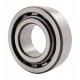 239120 Claas [NTN] Cylindrical roller bearing