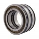 SL04 5009 PP (SL045009-PP) [INA Schaeffler] Double row cylindrical roller bearing