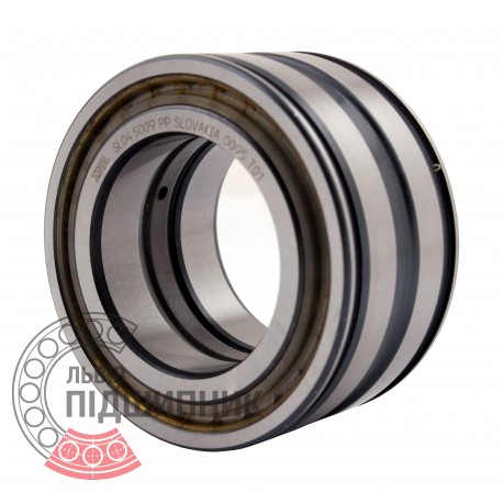SL04 5009 PP (SL045009-PP) [INA Schaeffler] Double row cylindrical roller bearing