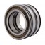 SL045009-D-PP | SL04-5009-PP [INA Schaeffler] Double row cylindrical roller bearing