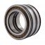 SL045009-D-PP | SL04-5009-PP [INA Schaeffler] Дворядний циліндричний роликовий пiдшипник