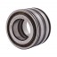 SL045005-D-PP | SL045005-PP [Schaeffler] Дворядний циліндричний роликовий пiдшипник