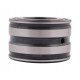 SL04 5005 PP (SL045005-PP) [Schaeffler] Double row cylindrical roller bearing