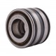 SL04 5004 PP (SL045004-PP) [Schaeffler] Double row cylindrical roller bearing