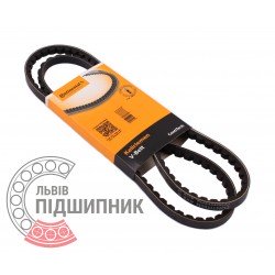 AVX11-1036 [Continental] V-belt