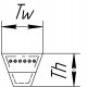 Ремень зубчатый клиновой AVX13-1925 [Contitech]