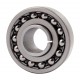 H307 [NTE] Double row self-aligning ball bearing