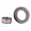 NU205E C3 [ZVL] Cylindrical roller bearing