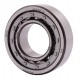 NU205E C3 [ZVL] Cylindrical roller bearing