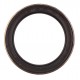 Oil seal 65х88х9/18 TAY