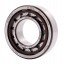 NU 205 ECP [SKF] Cylindrical roller bearing