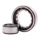 NU 205 ECP [SKF] Cylindrical roller bearing