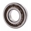 NJ 311 ECP [SKF] Cylindrical roller bearing