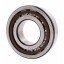 NJ 311 ECP [SKF] Cylindrical roller bearing