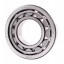 NU317 E [CX] Cylindrical roller bearing