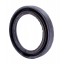 35x48x7 BASLRDX7 | 31029-1701043 [KGT] Oil seal