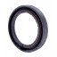 35x48x7 BASLRDX7 | 31029-1701043 [KGT] Oil seal