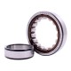 NU 211 ECP [SKF] Cylindrical roller bearing