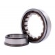 NJ 210 ECP [SKF] Cylindrical roller bearing