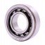 NU205 [NTN] Cylindrical roller bearing