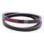 XPA-1250 [Bando] Narrow Cogged V-Belt / XPA1250