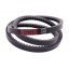 XPB-3150 [Bando] Narrow Cogged V-Belt / XPB3150