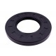 62x120x12 TC [SOG] Oil seal