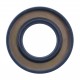 25x47x7 BASL | 12011125B [Corteco] Oil seal