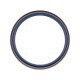 145x170x13 B1SL | 12011373B [Corteco] Oil seal