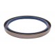 145x170x13 B1SL | 12011373B [Corteco] Oil seal