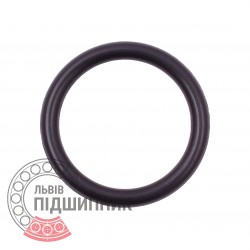 170 - 5.8 NBR 70 A O-Ring