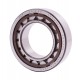 NU2210 ECP/C3 [SKF] Cylindrical roller bearing
