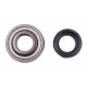 SA203 [CX] Radial insert ball bearing