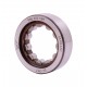 RNU 203 TN9 [SKF] Cylindrical roller bearing