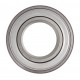 RAE50-XL-NPP-FA106 [INA] Radial insert ball bearing