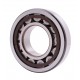 24940330 - cravler dozer Case 2550 [SKF] Cylindrical roller bearing
