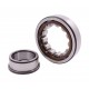 20147000 | 24974340 | 340405060 CNH [SKF] Cylindrical roller bearing