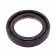 28х39,64х6,35 BASFX27 TOP-GUN Oil seal