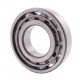 N319 J/P6 DIN 5412-1 [BBC-R Latvia] Cylindrical roller bearing