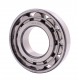 N313 J/P6 DIN 5412-1 [BBC-R Latvia] Cylindrical roller bearing