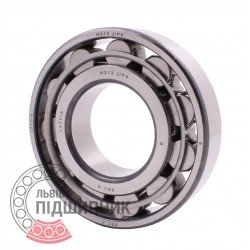 N313 J/P6 DIN 5412-1 [BBC-R Latvia] Cylindrical roller bearing
