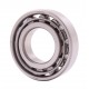 N207 J/P6 DIN 5412-1 [BBC-R Latvia] Cylindrical roller bearing